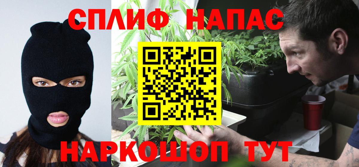 Каннабис Bruce Banner  Каннабис планчик  Вход с VPN  Каннабис семена  Санкт-Петербург 